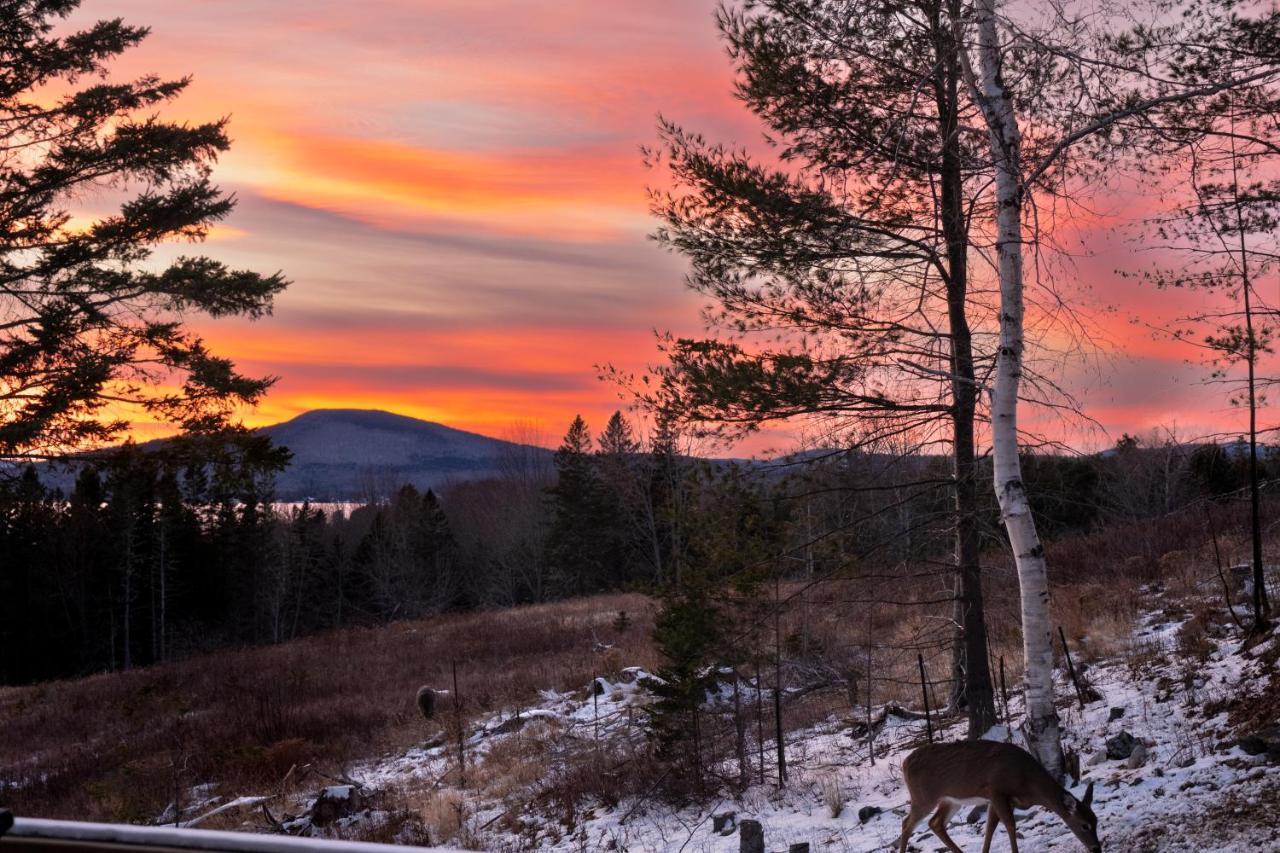 Rangeley Lake House, Lake Access, Saddleback 15Min المظهر الخارجي الصورة